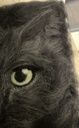 IMG_9188.jpeg