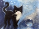 IMG_1632.jpeg