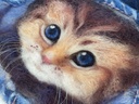 IMG_2871.jpeg