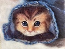 IMG_2864.jpeg
