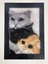 Postkarten 🎁 „3 Katzen“