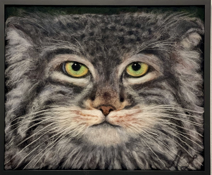 Manul / 3D-Wollbild