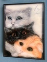 Drei Katzen nach original Wollbild