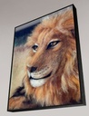 Fine Art Print hinter Acrylglas „Löwe“