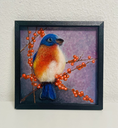 Blaukehl-Hüttensänger (Sialia mexicana)