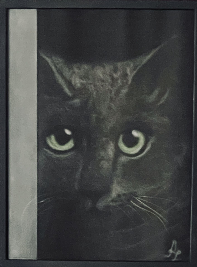 „Katze um die Ecke“