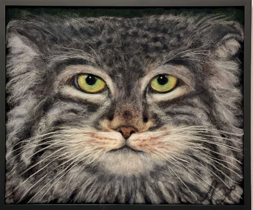 Manul / 3D-Wollbild