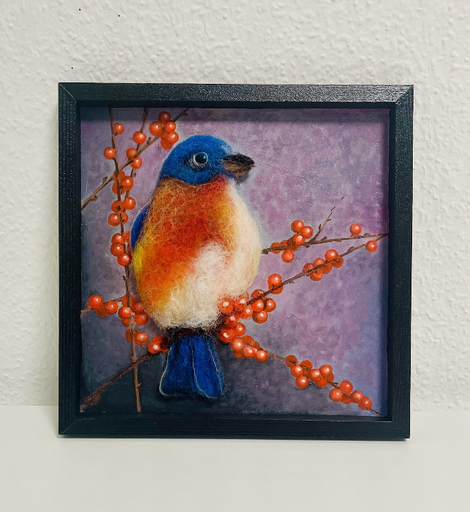 Blaukehl-Hüttensänger (Sialia mexicana)