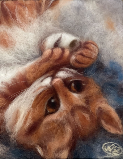 „Süß-Katze“